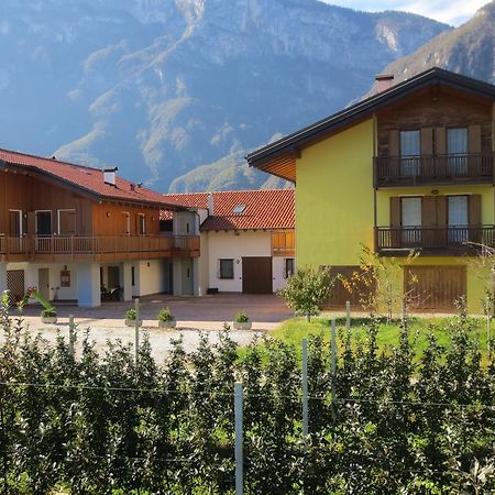 Vila Agritur Clementi Nave San Rocco Exteriér fotografie