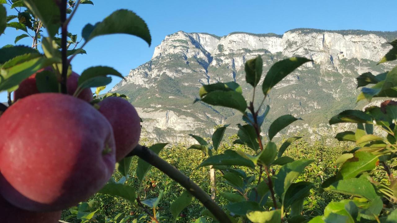 Vila Agritur Clementi Nave San Rocco Exteriér fotografie