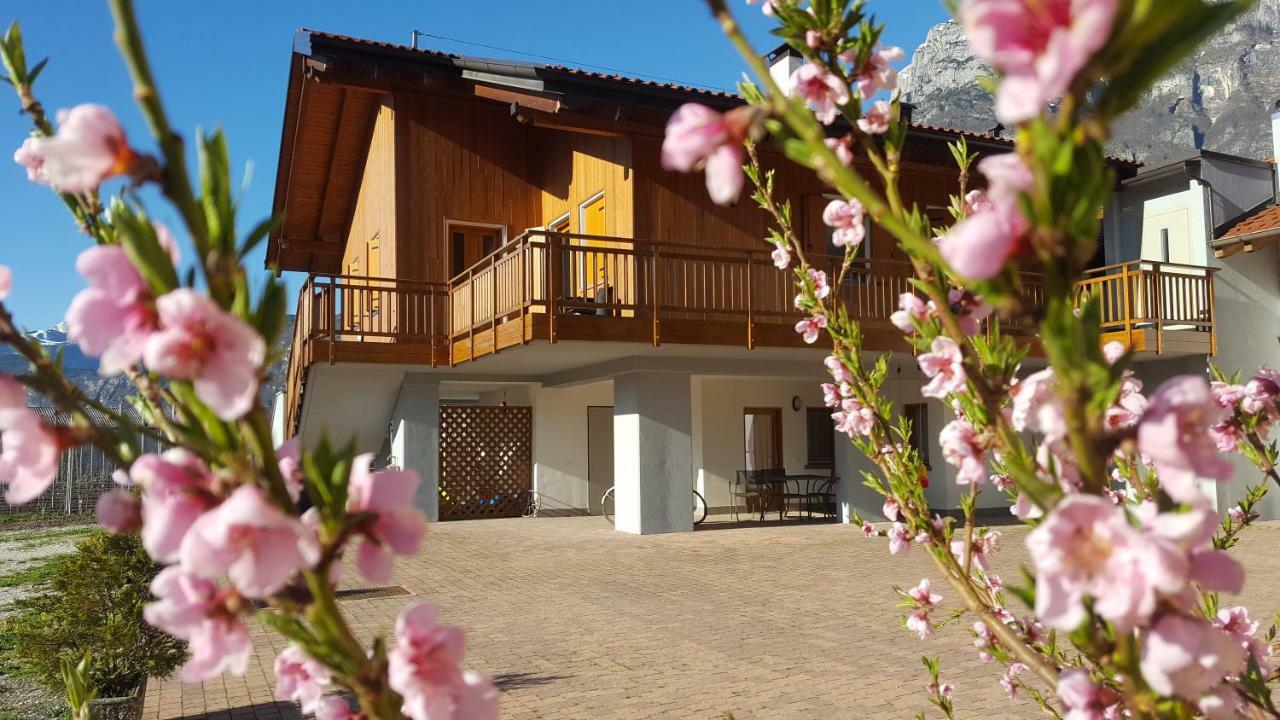 Vila Agritur Clementi Nave San Rocco Exteriér fotografie