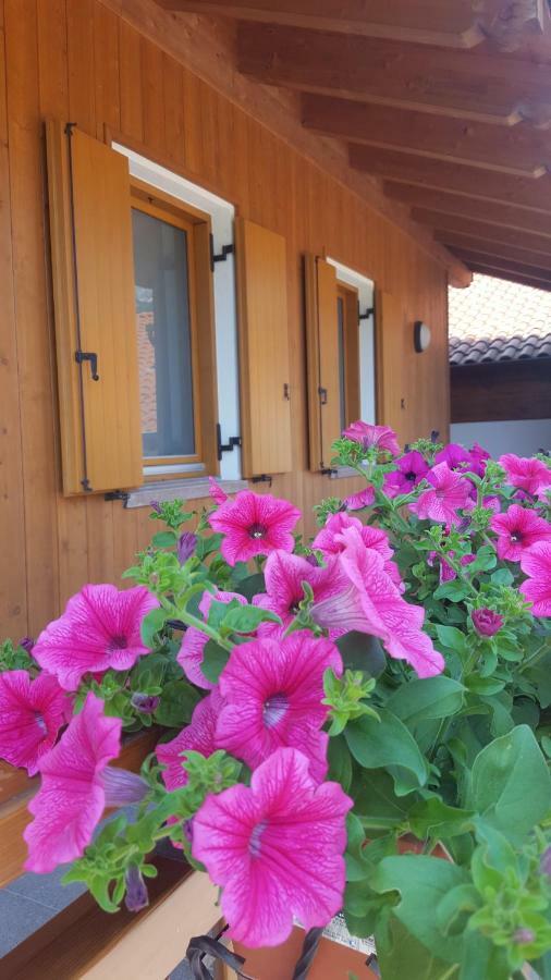 Vila Agritur Clementi Nave San Rocco Exteriér fotografie