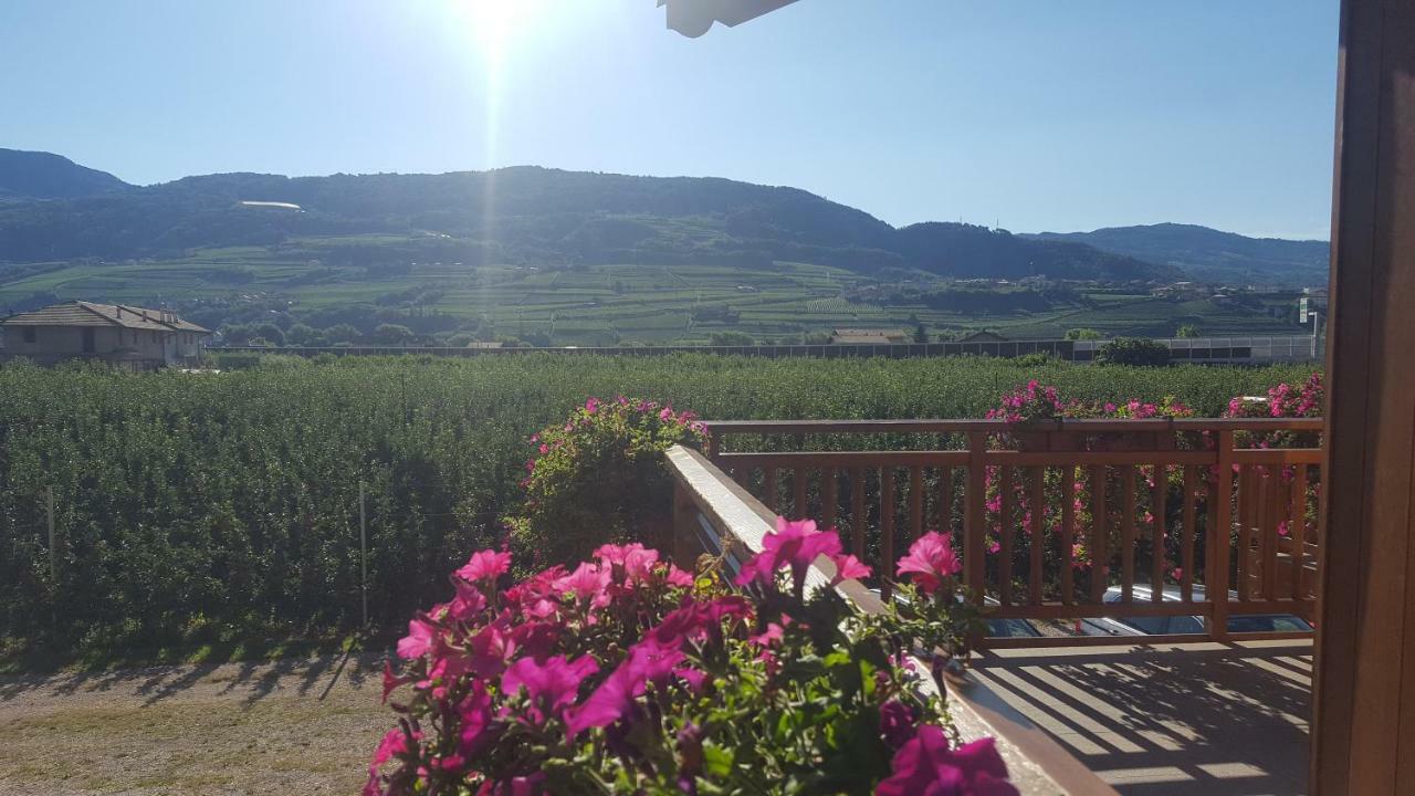 Vila Agritur Clementi Nave San Rocco Exteriér fotografie