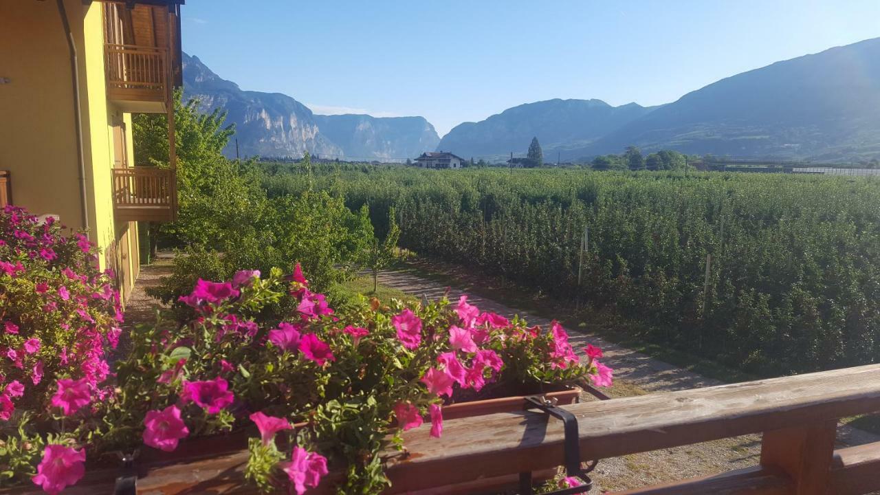 Vila Agritur Clementi Nave San Rocco Exteriér fotografie