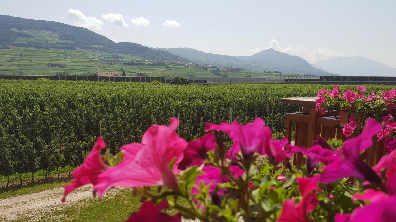 Vila Agritur Clementi Nave San Rocco Exteriér fotografie