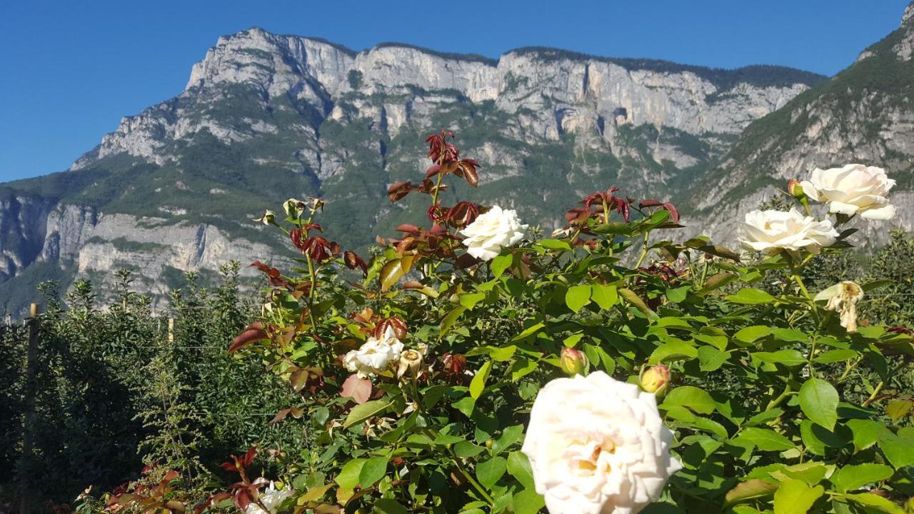 Vila Agritur Clementi Nave San Rocco Exteriér fotografie