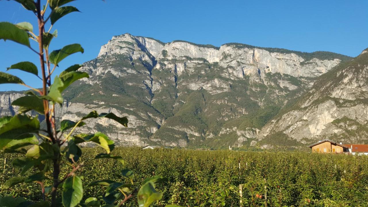 Vila Agritur Clementi Nave San Rocco Exteriér fotografie